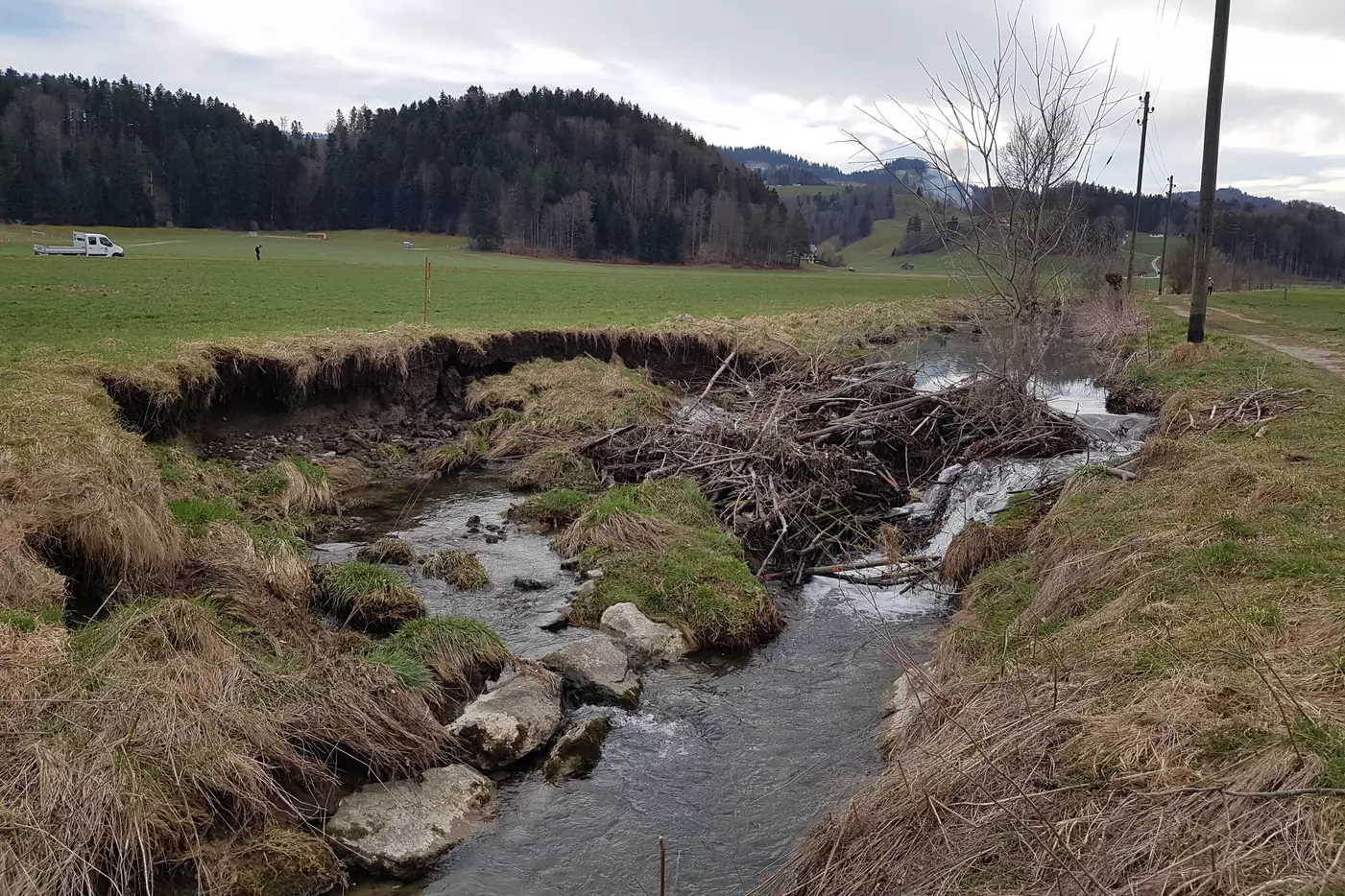 Biberkonzept Schwarzenburg