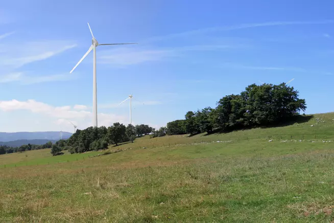 Grüne Wiese mit mehreren Windkraftanlagen unter klarem blauen Himmel.